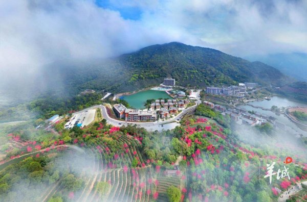 十大配资平台app 速来打卡！推荐云浮当地五家省级乡村酒店（民宿）