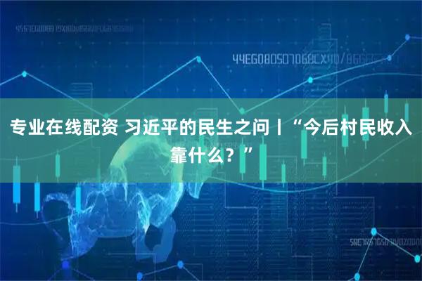 专业在线配资 习近平的民生之问丨“今后村民收入靠什么？”